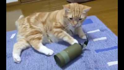 Cat unpin the smoke gas.