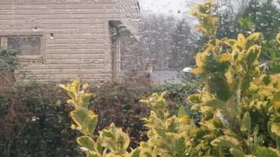 Pouring rain in the Northeast