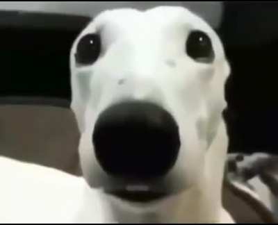 &iquest;Que paso con el grupo de discord?