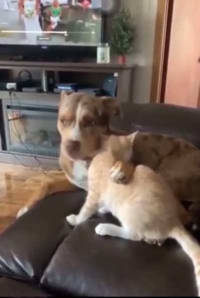 The best of friends