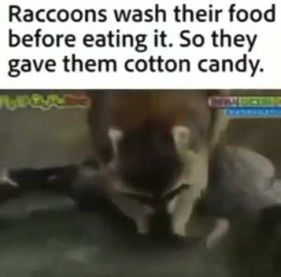 NOOOOO