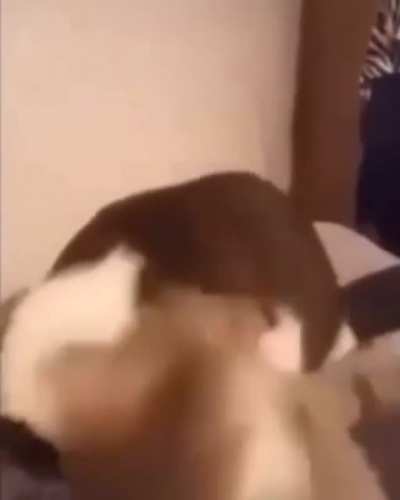 MEDIC! AAAAAAa