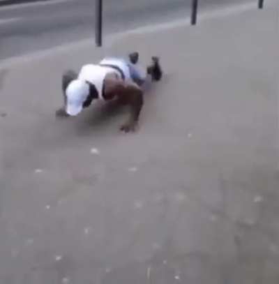 what da dog doin
