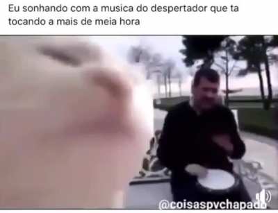 Aripapá