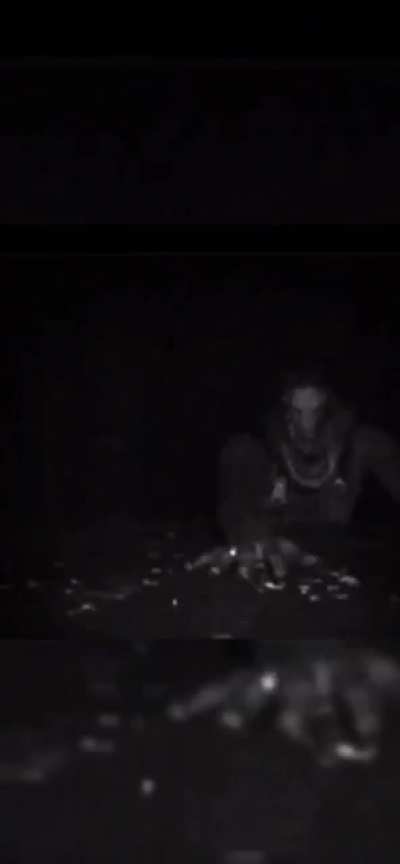 cursed_dark