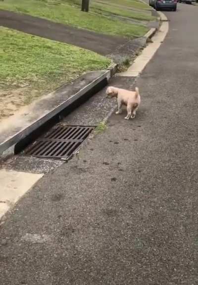 Cleverly avoiding greeting an ESF*
