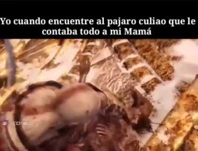 P&aacute;jaro culiao