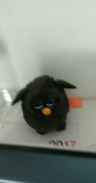 Furby is the devil 1