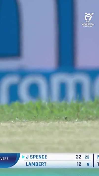 Snake On the field