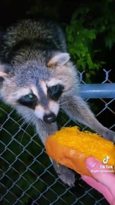 Yum hotdog.