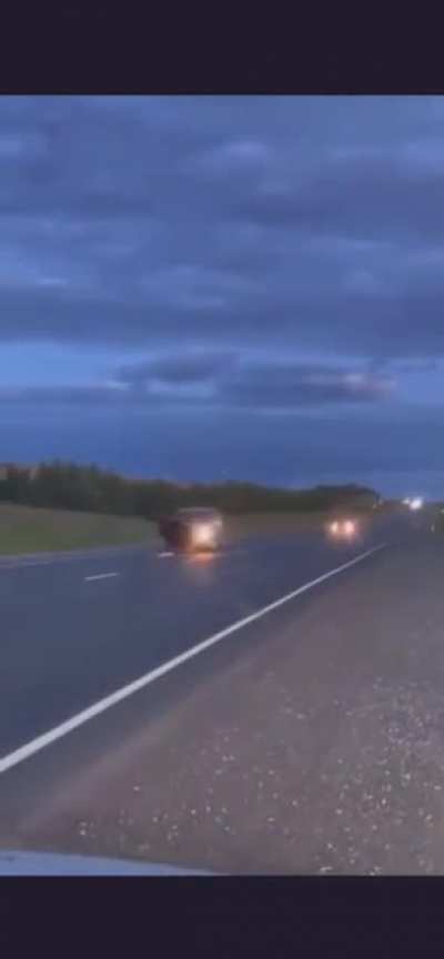 Moose goes flying