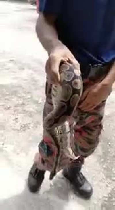 Unzips pants...