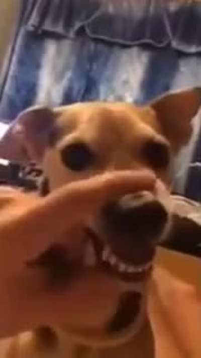 La la la