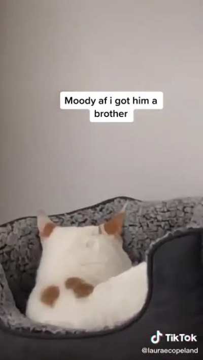He&rsquo;s big mad