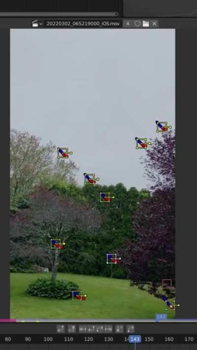 THAT "Seagull steals pizza" Breakdown