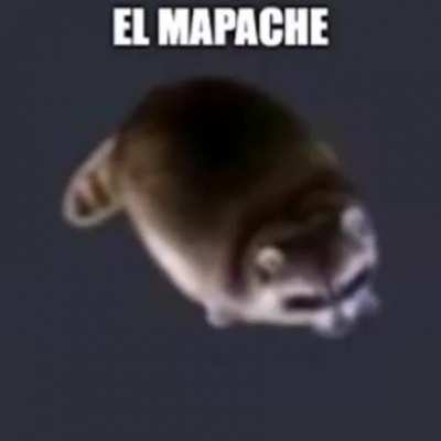 Rule 2