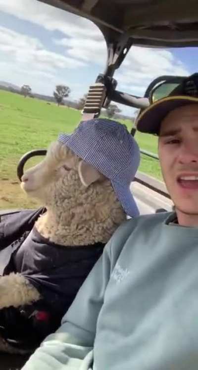 If you&rsquo;ve seen a sheep with his hat on backwards driving a golf cart today just keep on scrolling...