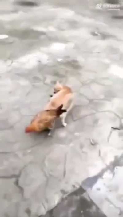 hmm