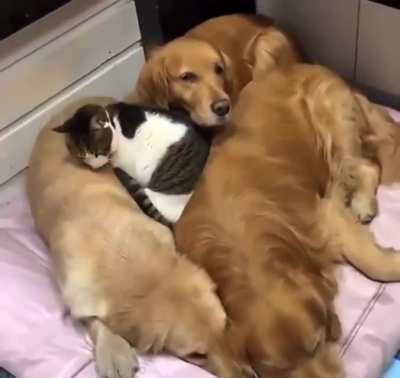When you&rsquo;re the last one to get in bed, but you still want the very best spot.