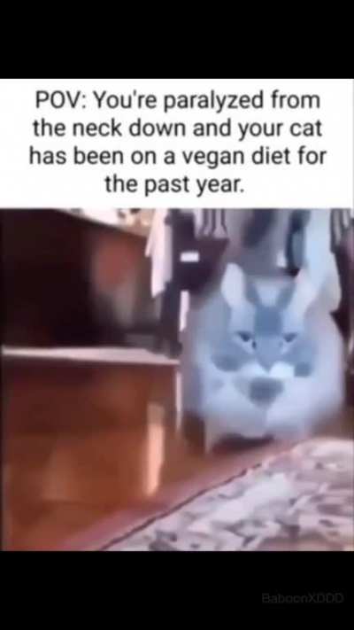 Payback time, human