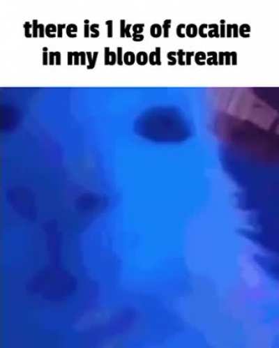 please help