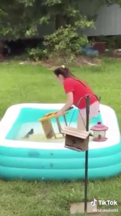 Girl saves drowning squirrel