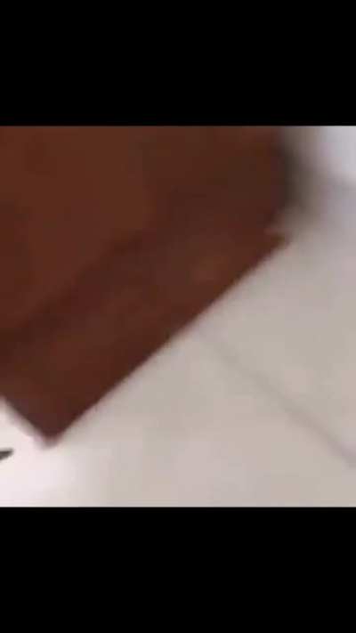 bonk