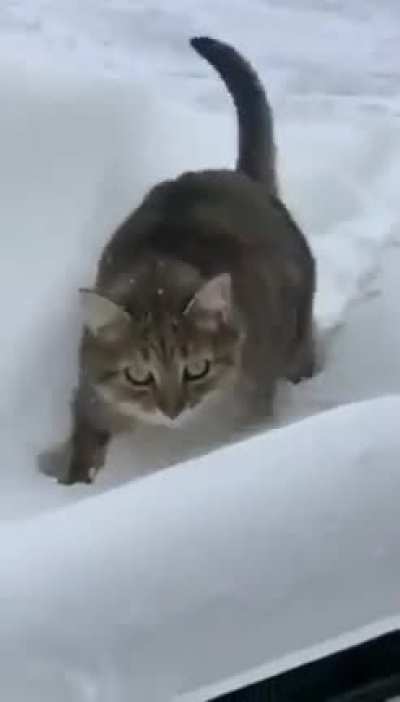 mistakes were made
