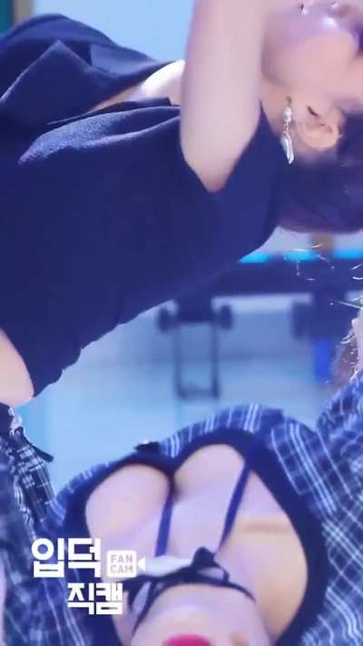 Momo 😍