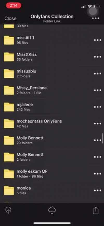Mega link to 4.07 TB of of content only 5 dollars hit me!