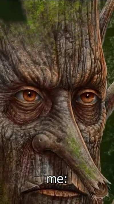 The wise guy