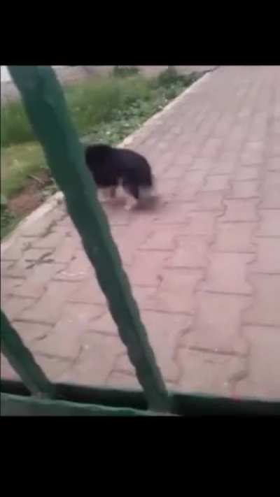 AWR AWR AWR AWR AWRA AWR ARW ARW AARWA AAAAWR AAAAAWAAAAAA