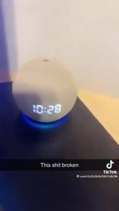 the new alexa
