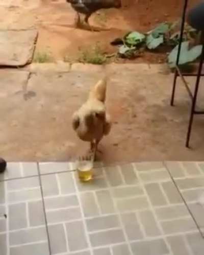 &Aacute;gua com milho!
