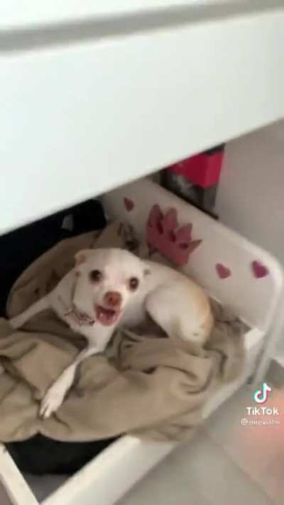 AAA-