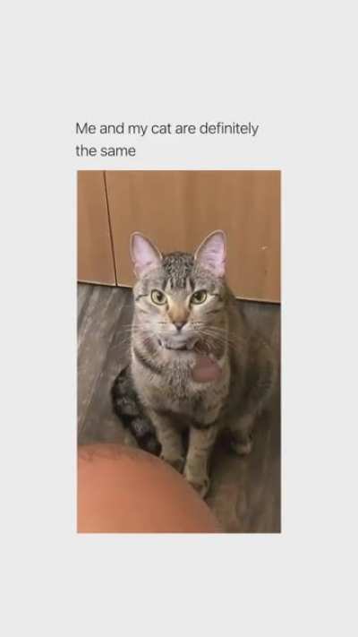 Me_irl