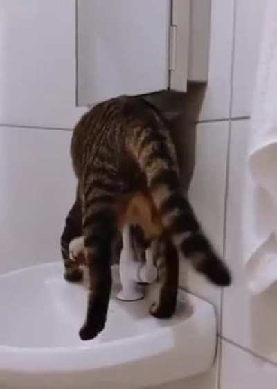 I relate more to this cat than I&rsquo;m ready to admit&hellip;