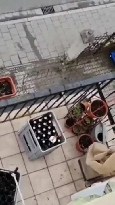 Just some dudes getting there beer
