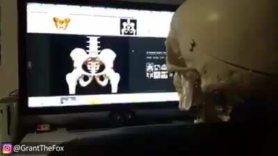 Thanks I hate skeletons at 3am
