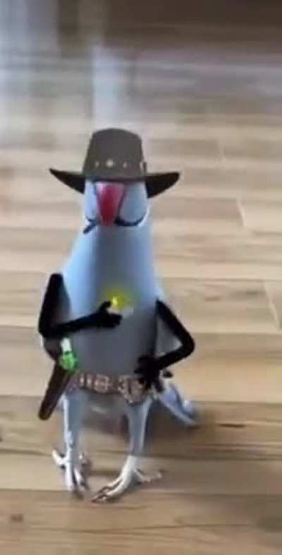 Howdy...