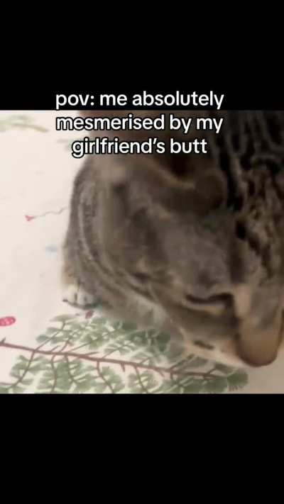 i need the original video plz
without the text
