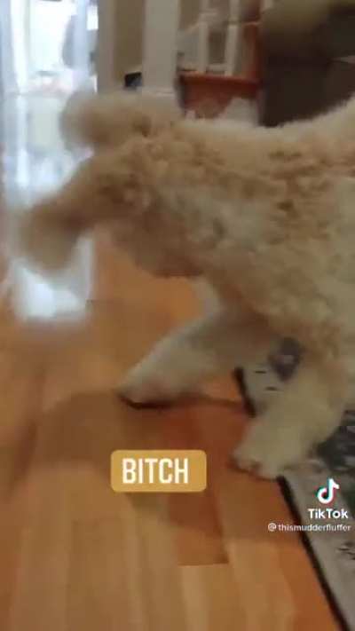 That can&rsquo;t be his first time doing this