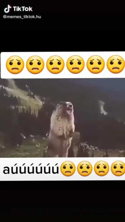Ooooooooooooooof
