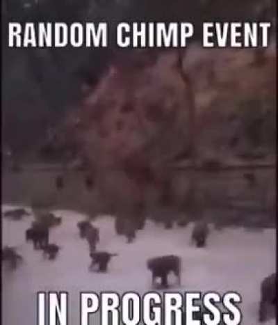 When the CDawgVA twitch notification comes in
