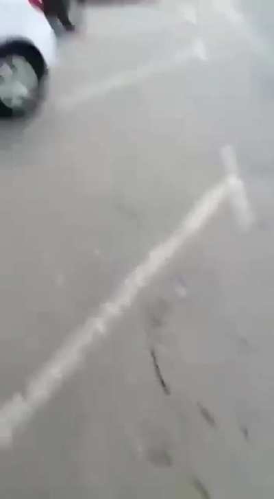 Electric scooter chose to kill itself with fire