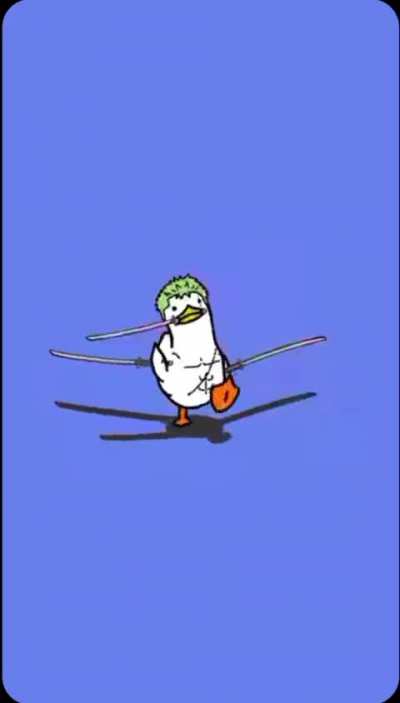 DUCKY ZORO❤️