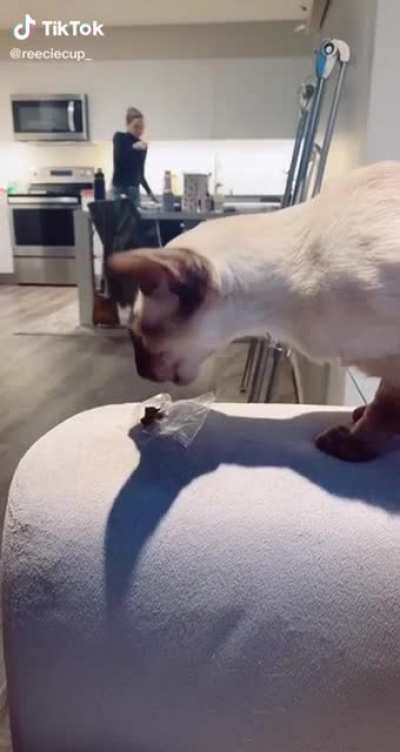 He didn&rsquo;t like the treats