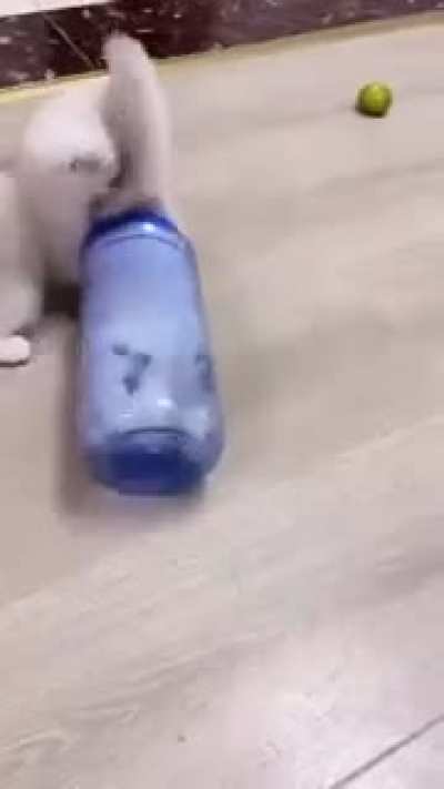 Milk shake