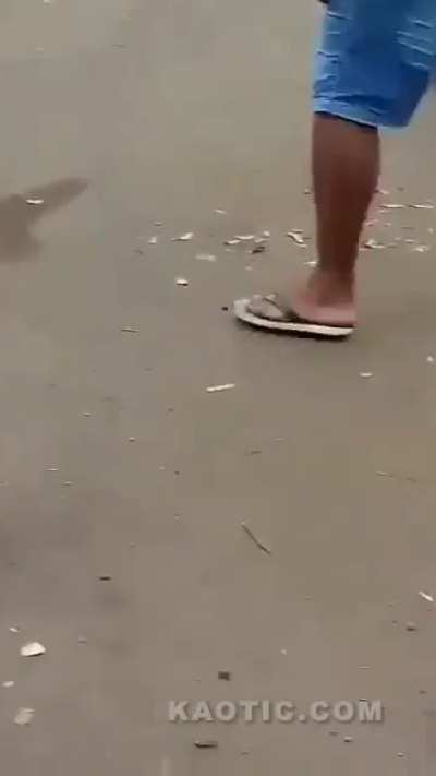 Doink
