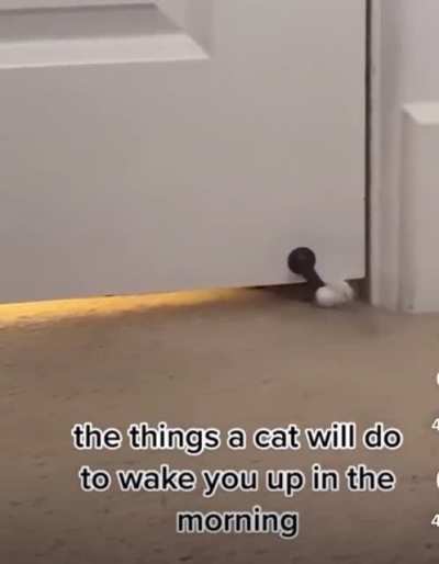 Excuse me! Time to wake up.